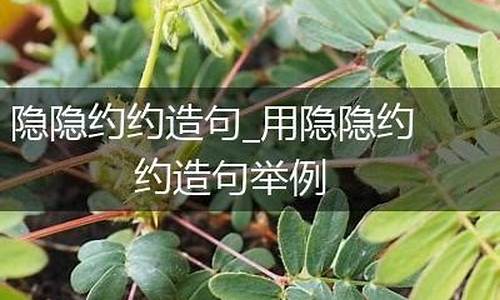 用隐隐约约造句怎么造-用隐隐约约造句怎么造句二年级