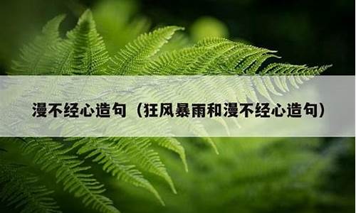 用漫不经心造个句子-用漫不经心造句怎么造